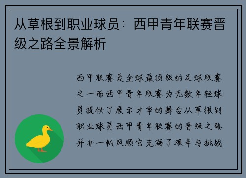 从草根到职业球员：西甲青年联赛晋级之路全景解析