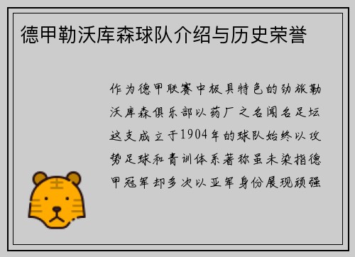 德甲勒沃库森球队介绍与历史荣誉